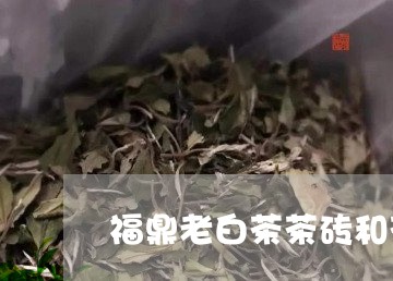 福鼎老白茶茶砖和茶饼/2023120726041