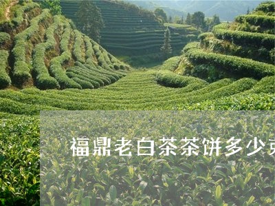 福鼎老白茶茶饼多少克/2023120636059