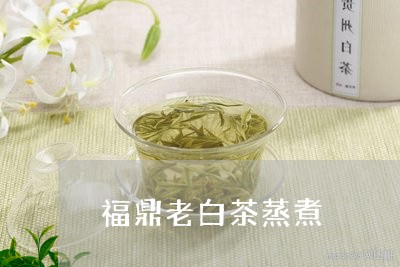 福鼎老白茶蒸煮/2023060982937