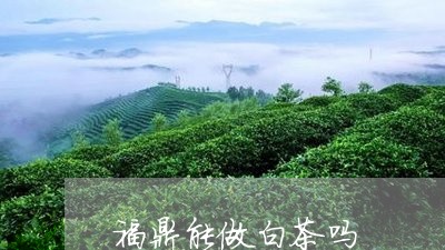 福鼎能做白茶吗/2023060994926