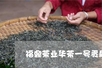 福鼎茶业华茶一号贡眉/2023120813715