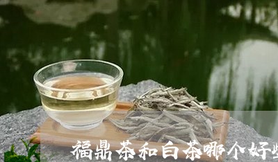 福鼎茶和白茶哪个好些呢/2023092225160