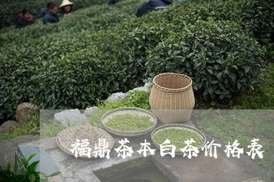 福鼎茶本白茶价格表/2023120321794