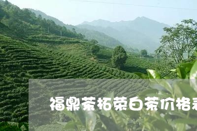 福鼎茶柘荣白茶价格表/2023091525939