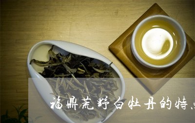 福鼎荒野白牡丹的特点/2023092186057