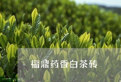 福鼎药香白茶砖/2023060902716