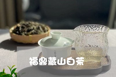 福鼎藏山白茶/2023052292803