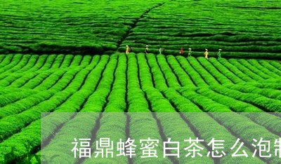 福鼎蜂蜜白茶怎么泡制好喝/2023042793746