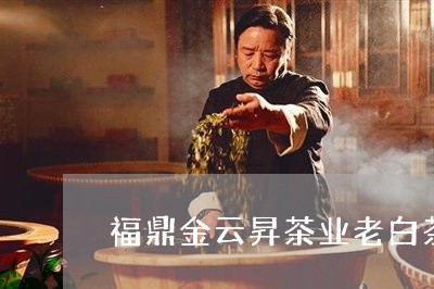 福鼎金云昇茶业老白茶/2023120693136