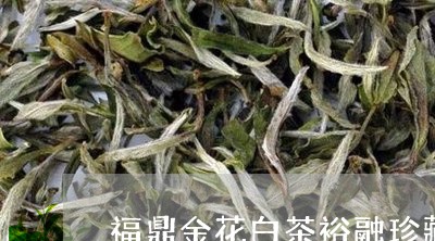 福鼎金花白茶裕融珍藏级/2023110231704