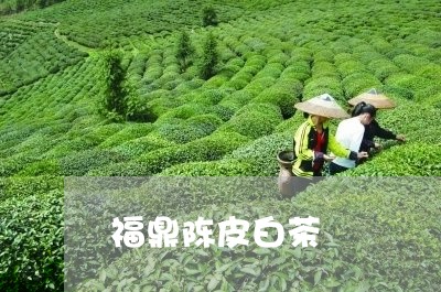 福鼎陈皮白茶/2023052320362