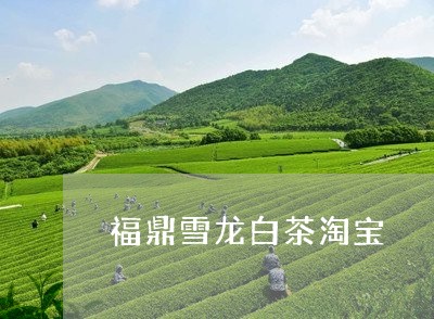 福鼎雪龙白茶淘宝/2023071305948