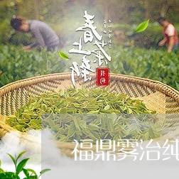 福鼎雾治纯白茶茶饼/2023111620404