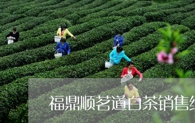 福鼎顺茗道白茶销售经理/2023092199380