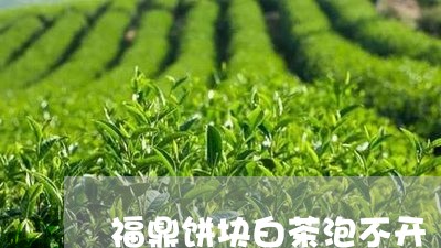 福鼎饼块白茶泡不开/2023111627382