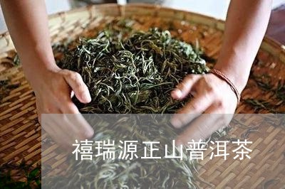 禧瑞源正山普洱茶/2023101664147