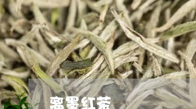 离墨红茶/2023110929374