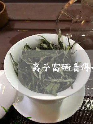 离子富硒普洱茶多少钱/2023092762726