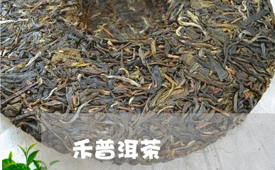 禾普洱茶/2023121838348