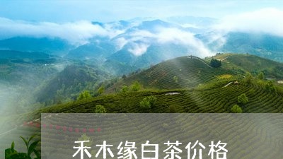 禾木缘白茶价格/2023060824946