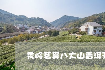 秀岭茗奚八大山普洱茶/2023061415371