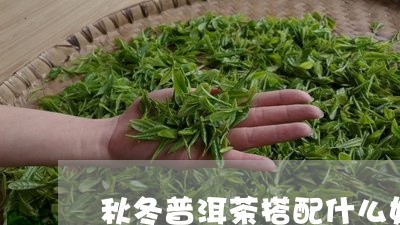 秋冬普洱茶搭配什么好喝/2023102416140