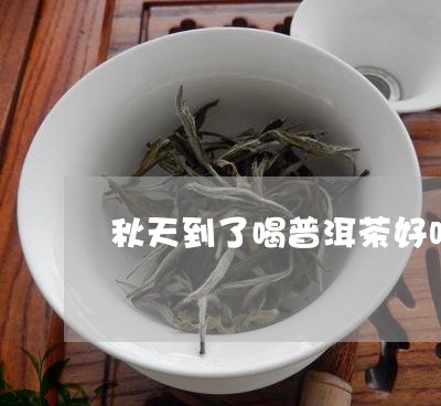 秋天到了喝普洱茶好吗一年级/2023052832938