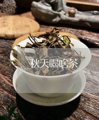 秋天喝啥茶/2023090261584