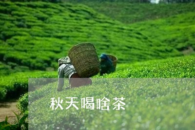 秋天喝啥茶/2023121976271