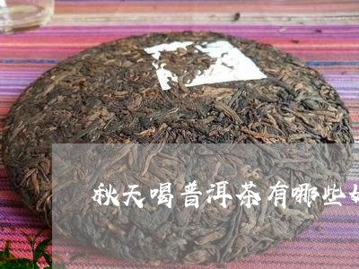 秋天喝普洱茶有哪些好处/2023122015359