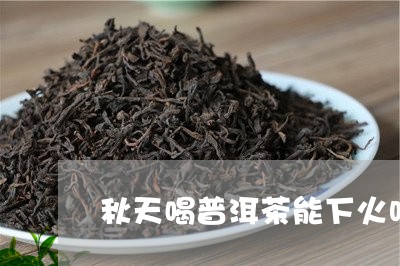 秋天喝普洱茶能下火吗/2023072106158