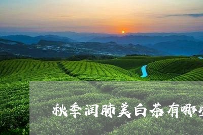 秋季润肺美白茶有哪些品牌/2023111055059