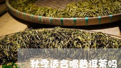 秋季适合喝普洱茶吗/2023071021795