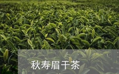 秋寿眉干茶/2023051164946