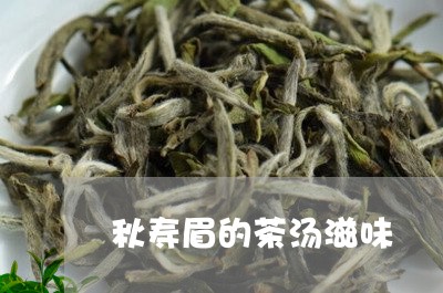 秋寿眉的茶汤滋味/2023090807369