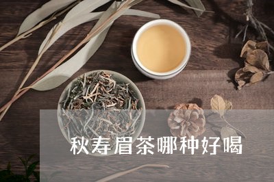 秋寿眉茶哪种好喝/2023090852704