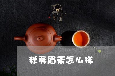 秋寿眉茶怎么样/2023112493715