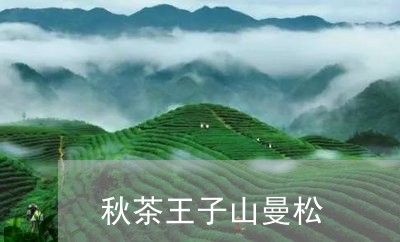 秋茶王子山曼松/2023042920236