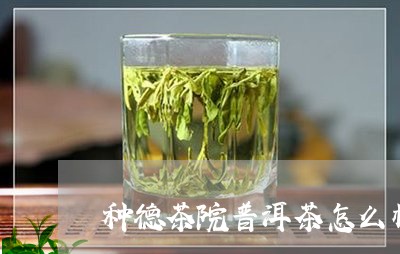 种德茶院普洱茶怎么样/2023062227360