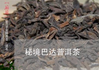 秘境巴达普洱茶/2023102682714