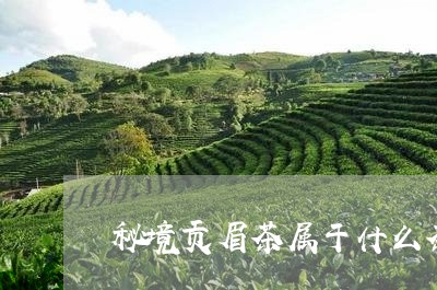 秘境贡眉茶属于什么茶/2023120808191