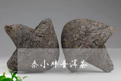 秦小胖普洱茶/2023042650440