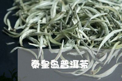 秦皇岛普洱茶/2023042850027