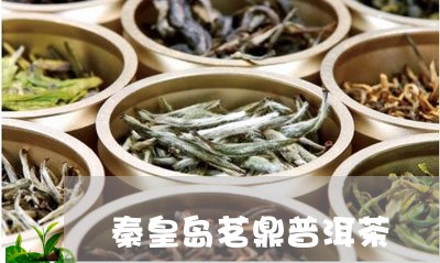 秦皇岛茗鼎普洱茶/2023112633946