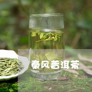 秦风普洱茶/2023102504937