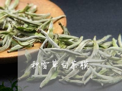 积雪草白茶膜/2023052325040