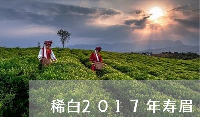 稀白2017年寿眉/2023120411804