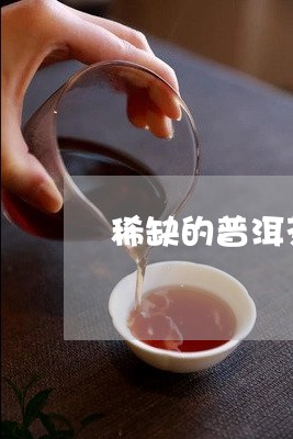 稀缺的普洱茶品种排名榜/2023050407251