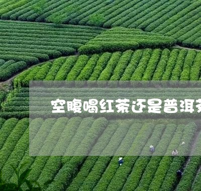 空腹喝红茶还是普洱茶好/2023050675837