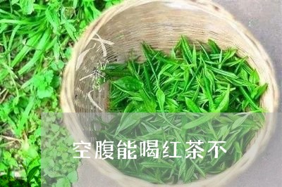 空腹能喝红茶不/2023042939793